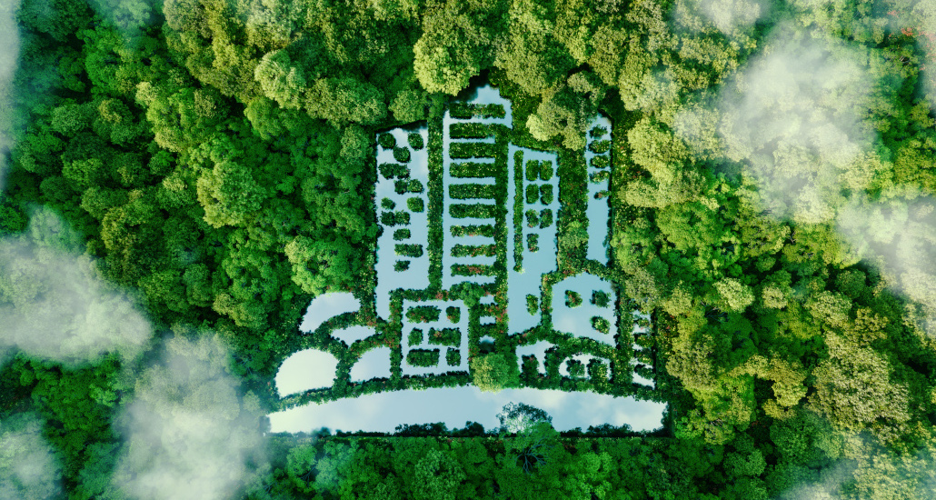 Forêt vue du dessus avec un étang en forme d'immeubles